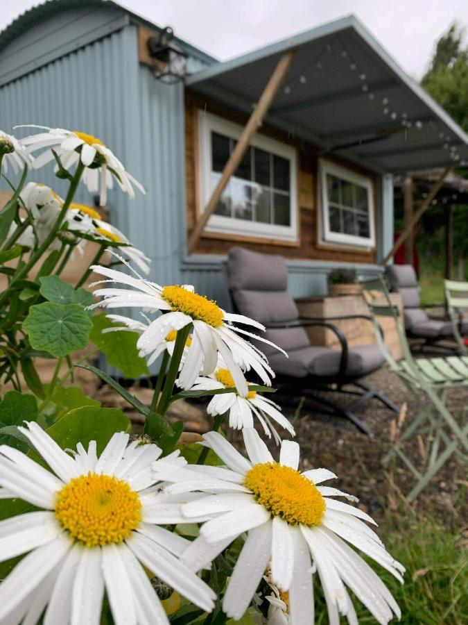 Belan Bluebell Woods Shepherds Hut 拉尼德洛伊斯 外观 照片